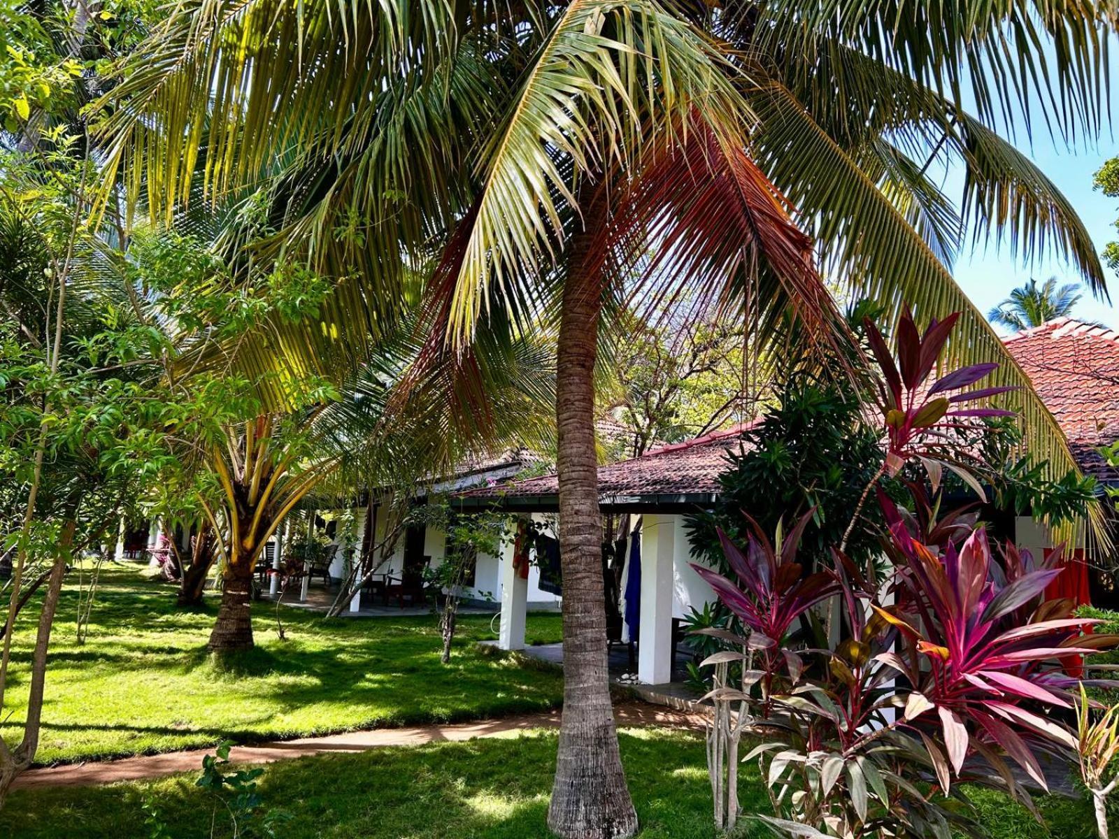 108 Palms Beach Resort トリンコマリー エクステリア 写真